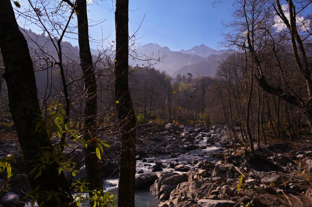 Zostel Dobhi, Manali Hostel Nagar  Luaran gambar