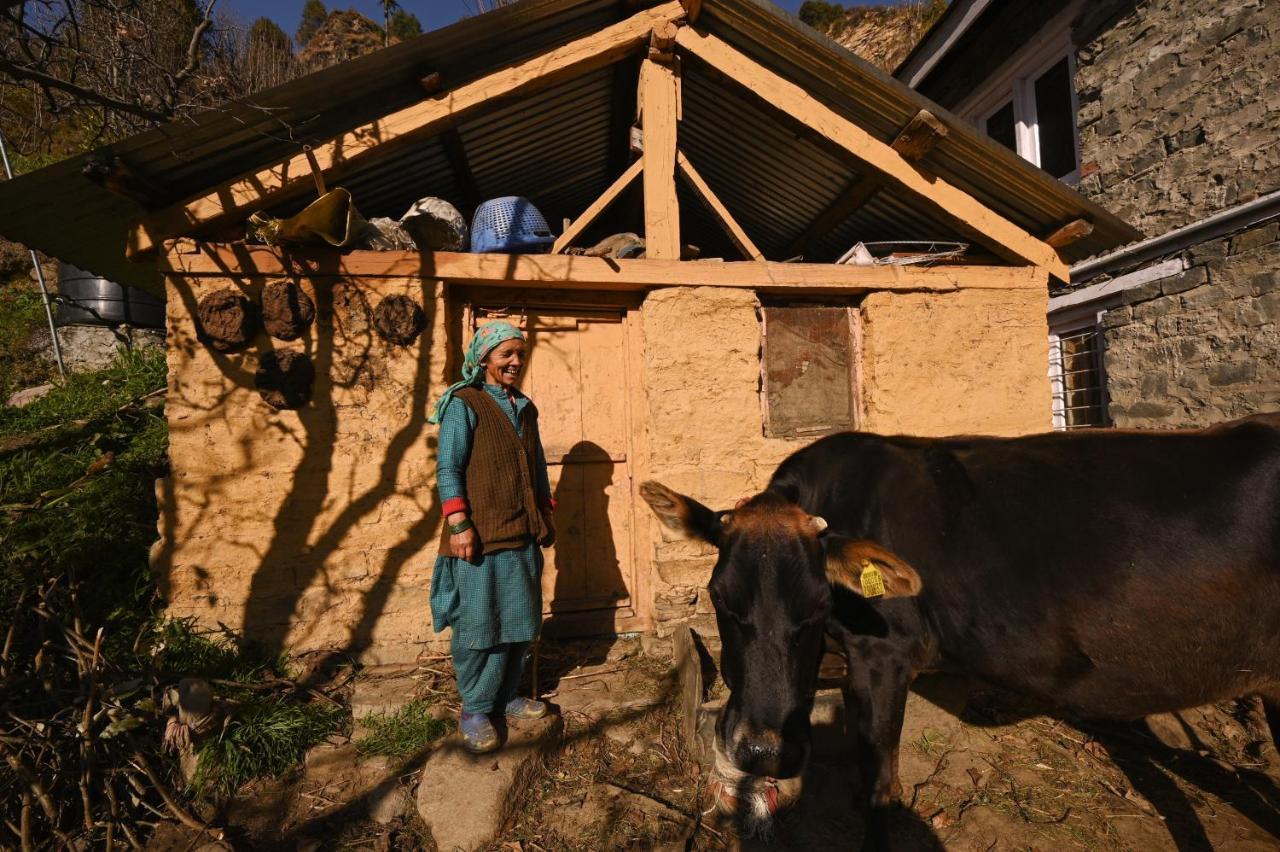 Zostel Dobhi, Manali Hostel Nagar  Luaran gambar