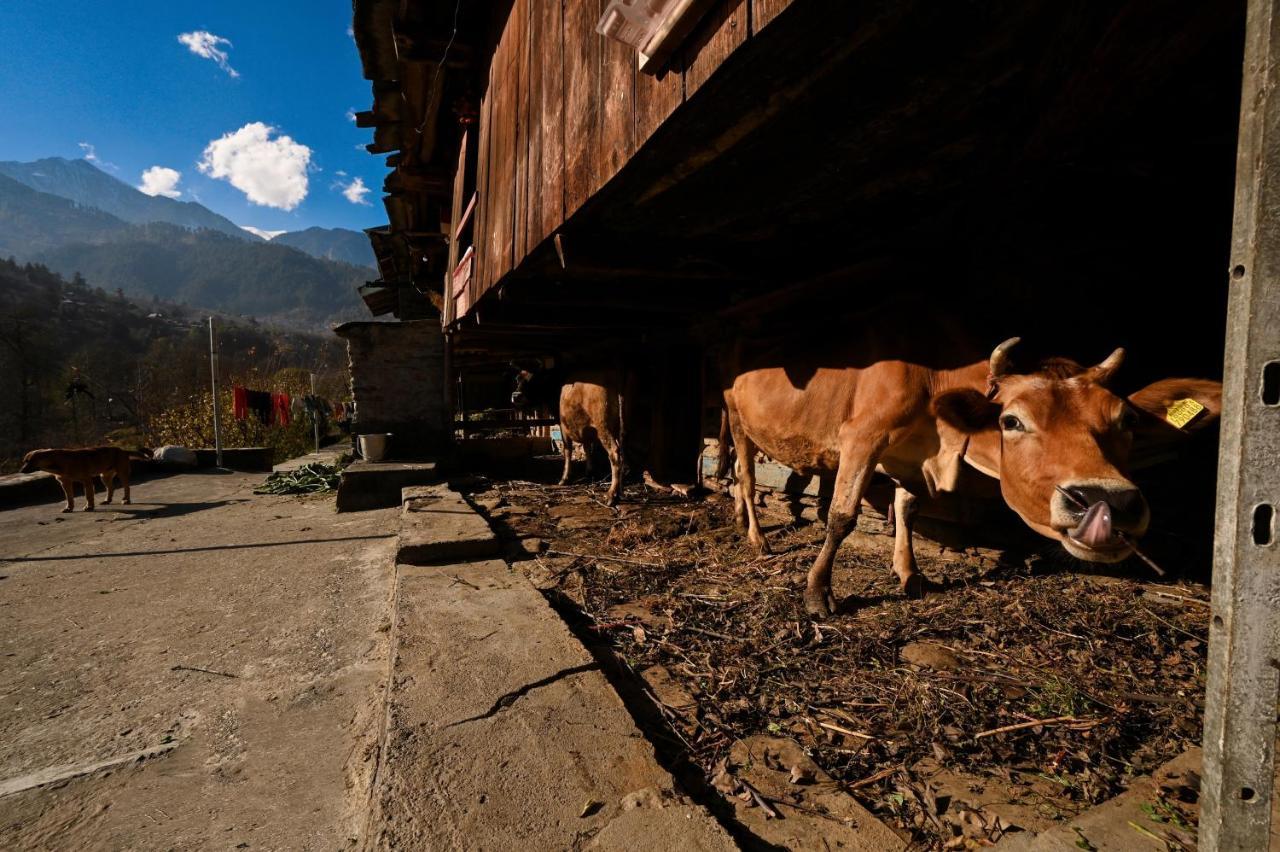 Zostel Dobhi, Manali Hostel Nagar  Luaran gambar