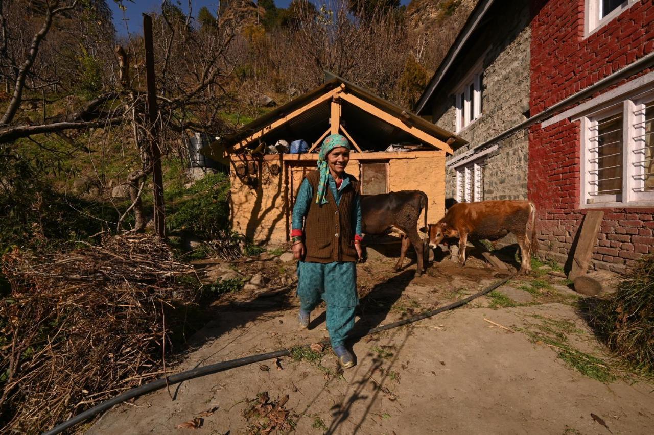 Zostel Dobhi, Manali Hostel Nagar  Luaran gambar