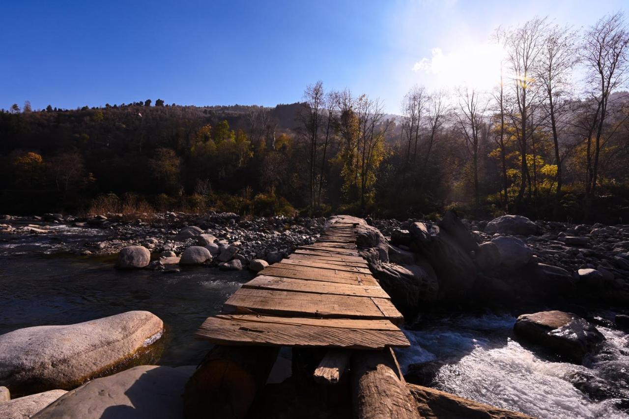 Zostel Dobhi, Manali Hostel Nagar  Luaran gambar