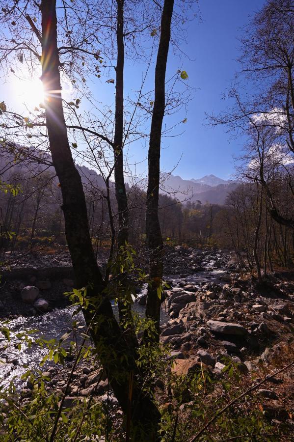 Zostel Dobhi, Manali Hostel Nagar  Luaran gambar