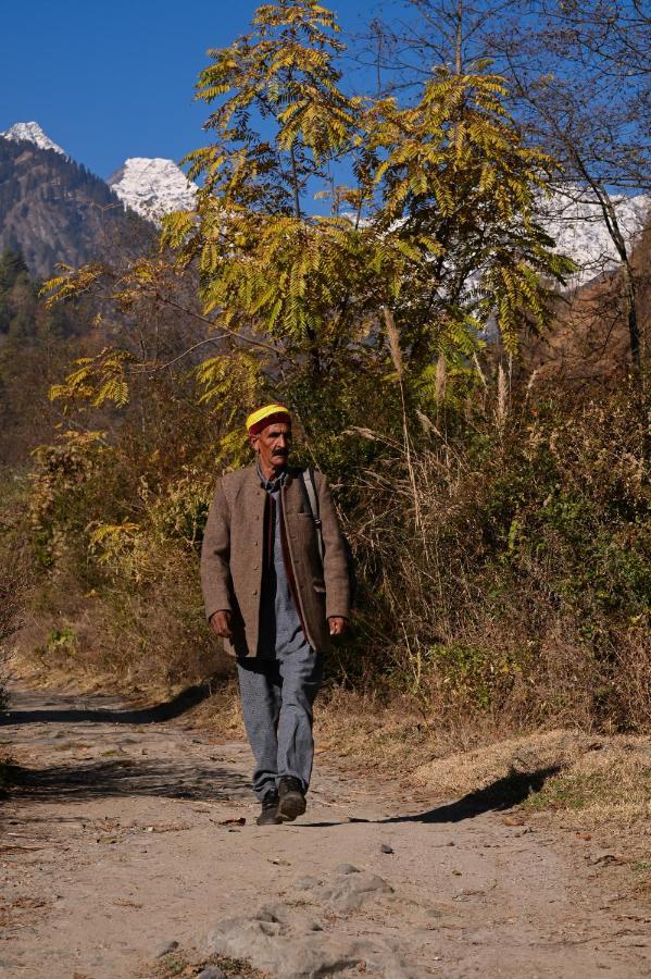 Zostel Dobhi, Manali Hostel Nagar  Luaran gambar